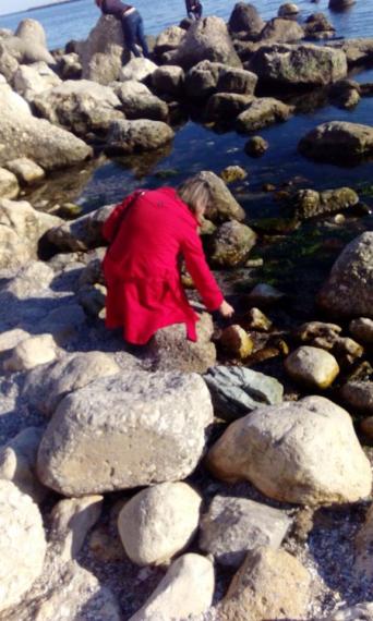 13101335_1154565034575759_988235810_n